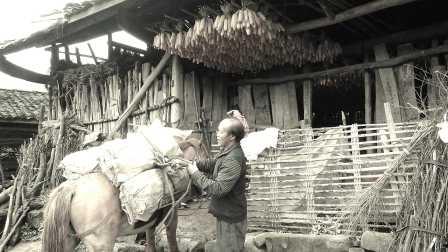 失信的村庄,揭开乡村道德沦丧的隐秘面纱