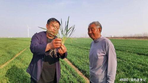 一亩灵田种长生,揭秘农业科技与长寿秘密