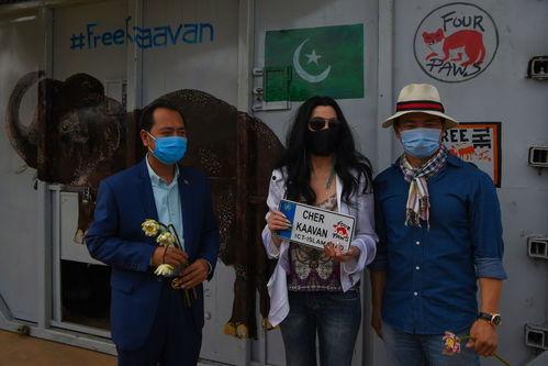 雪儿和最孤独的大象,跨越生死的深情陪伴